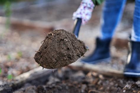 sziklakert téglából|A sziklakert építés lépései és szabályai 